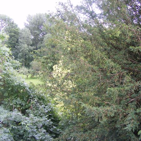 Les Lilas Des Deux Ponts Deux Rivieres Buitenkant foto